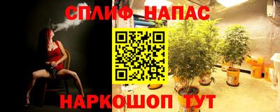 винт Славгород