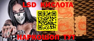 винт Славгород