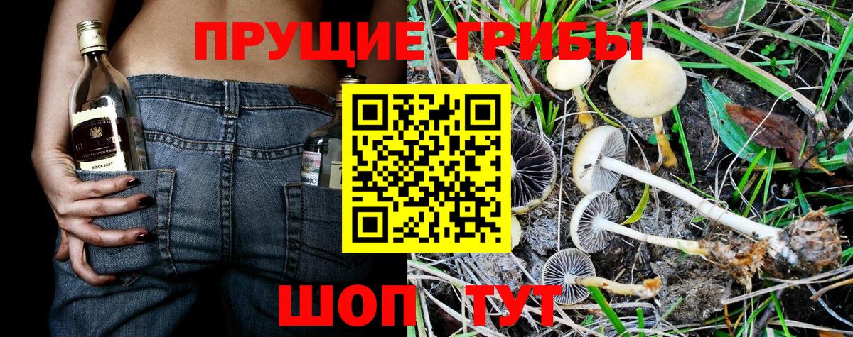 Новошахтинск  Галлюциногенные грибы мицелий  Вход с VPN 