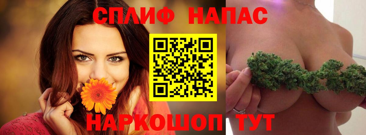 Канабис планчик Новошахтинск